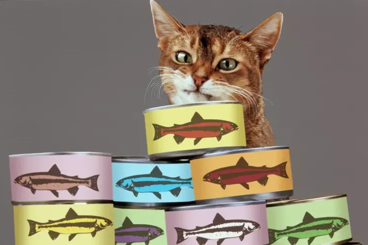 The Costs of Responsible Cat Ownership