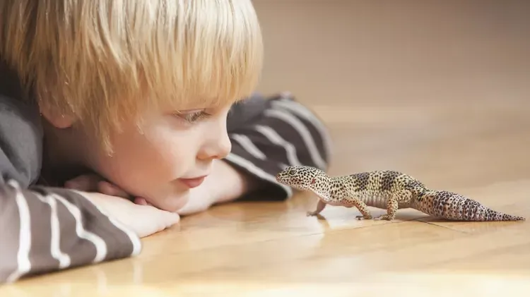 Worms or Parasites That Can Get Your Reptile Sick