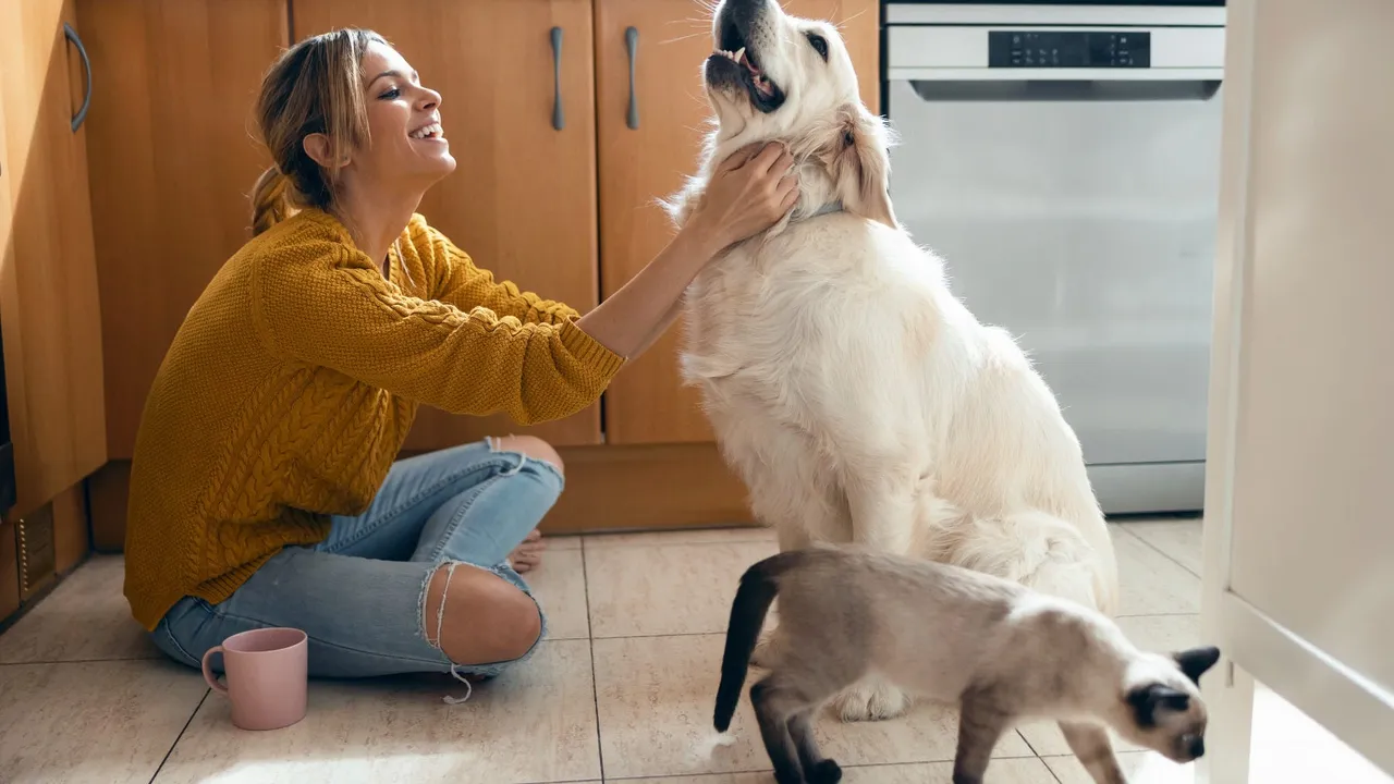 Probiotics for Dogs and Cats