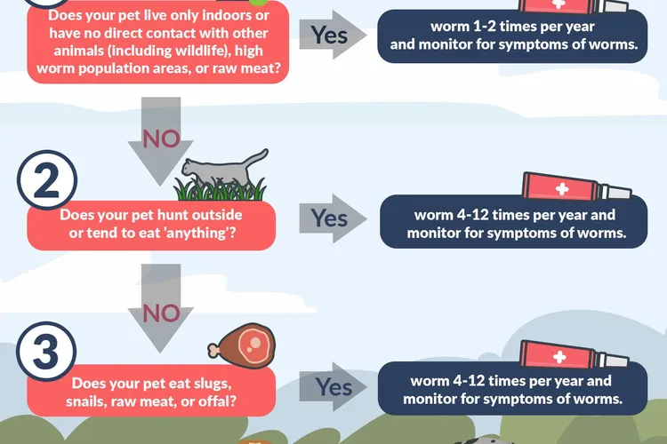 How Often Should You Worm Your Pet?