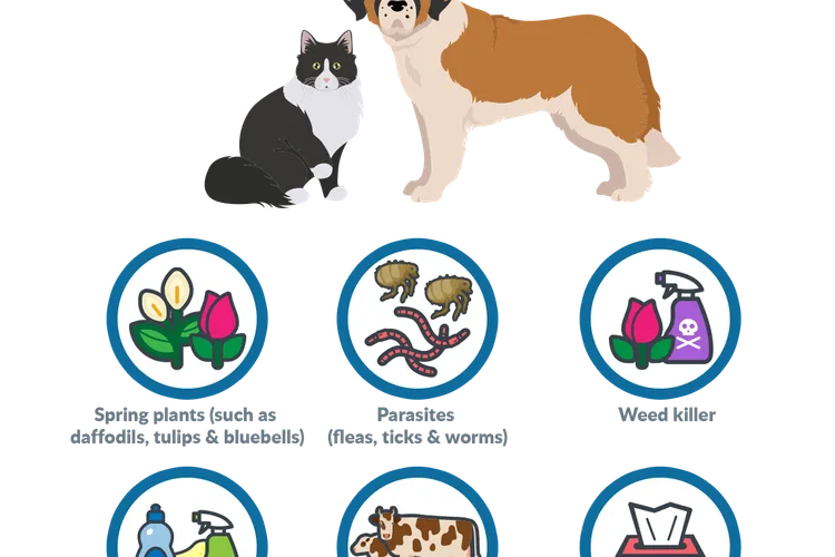 Spring Safety Tips for Pets