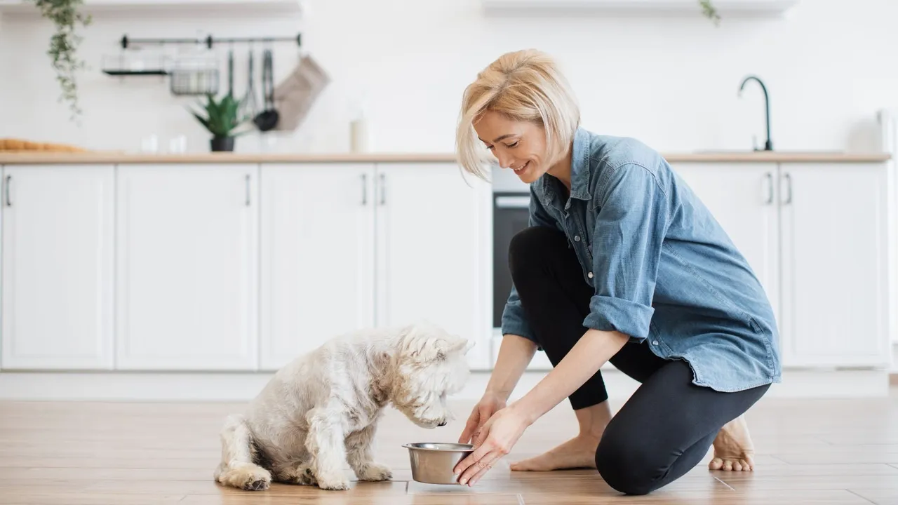 Complete Guide to Size-Specific Dog Foods