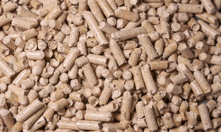 Close up of cat litter wood pellets