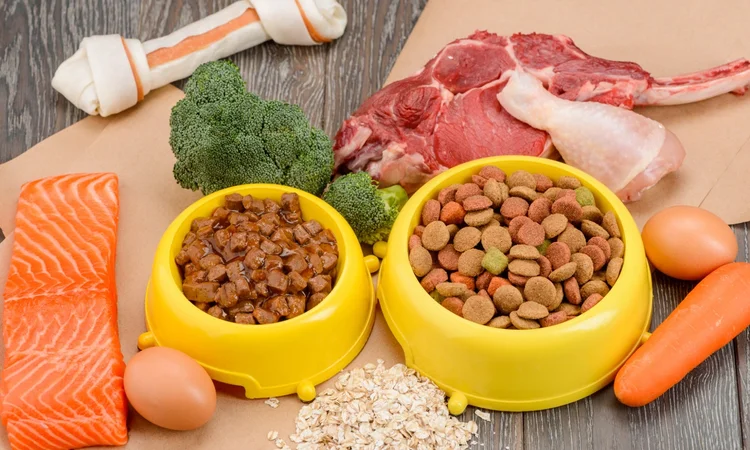 Two yellow dog food bowls, one full of dry dog kibble the other wet dog food, surrounded by ingredients, inlcuding a salmon fillet, carrots, eggs,  broccoli, meat fillets and dog chew bones. 