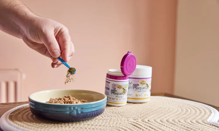 Dental Supplements for Cats | ProDen PlaqueOff Powder & Chews