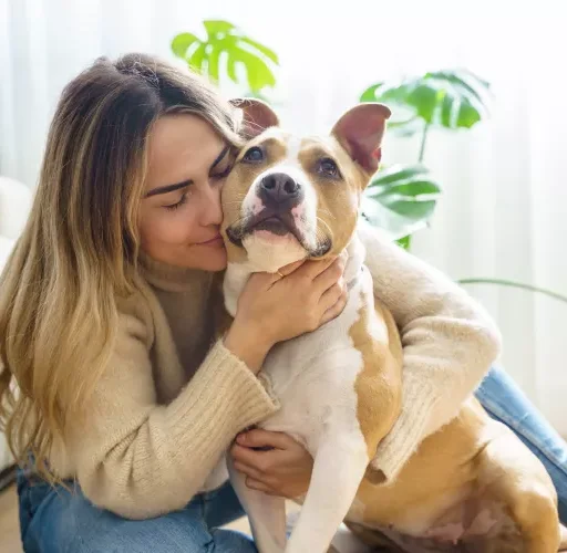 Woman sitting on floor hugging pit bull dog