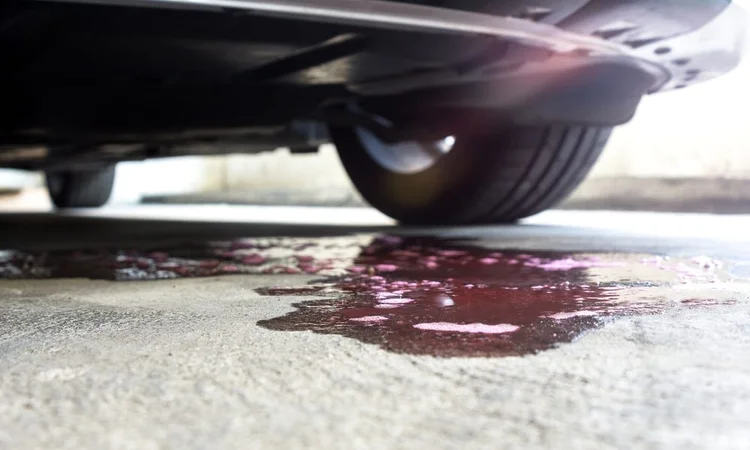 Leaking antifreeze from a car | Antifreeze poisoning in pets