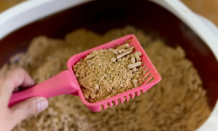 A close up of an owner scooping soiled non-clumping cat litter