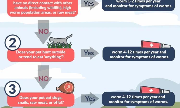 An infographic with a flow chart explaining how often you should worm your pet depending on lifestyle
