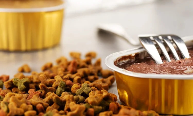An open tin of pate dog food beside spilled dry dog food kibble with a fork resting on the tin