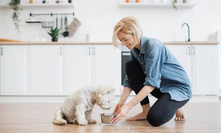 A blonde female owner feeding her small-breed dog (West Highland White Terrier) a bowl of food in the kitchen.