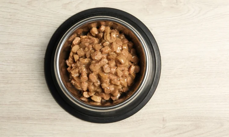 Isolated stainless steel dog bowl full of wet dog food photographed from above